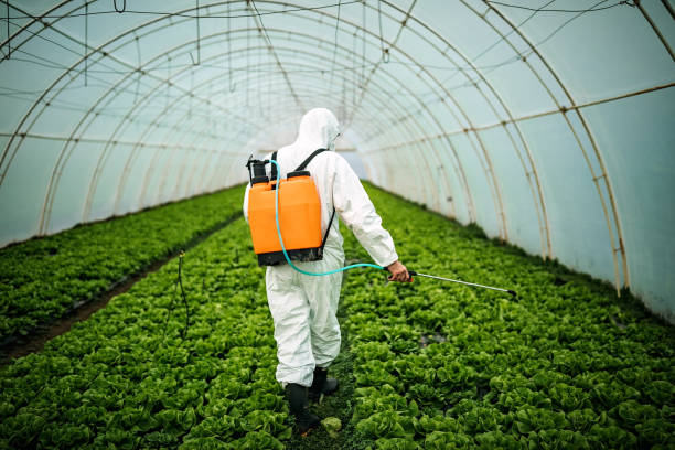 Best Pest Control Near Me in Laurel Hill, NC